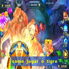 como jogar o tigre da fortuna