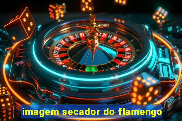 imagem secador do flamengo