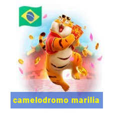 camelodromo marilia