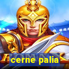 cerne palia