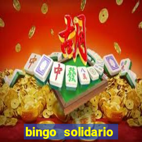 bingo solidario como organizar