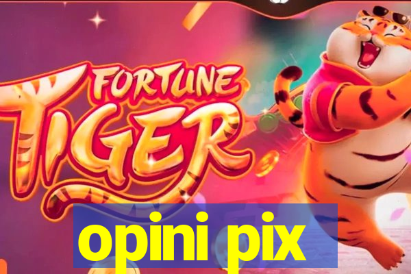 opini pix