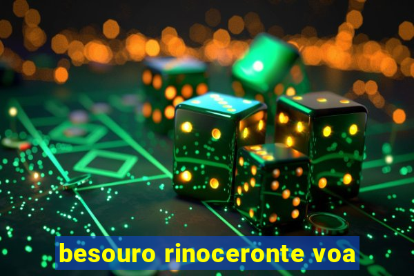 besouro rinoceronte voa