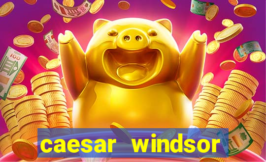 caesar windsor casino hotel