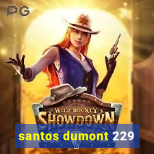 santos dumont 229