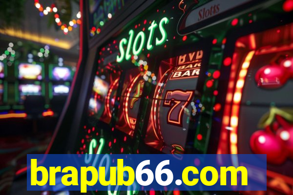 brapub66.com