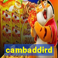 cambaddird