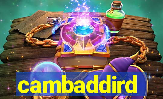 cambaddird