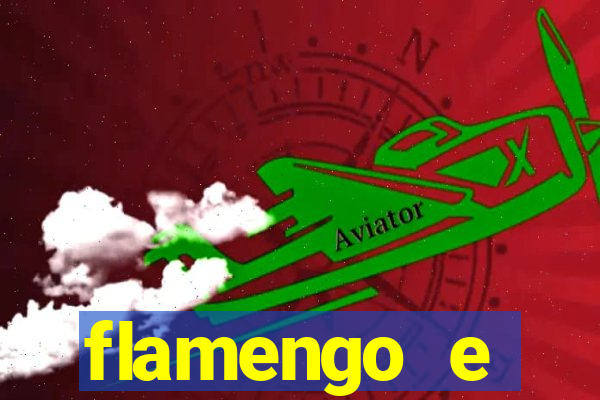 flamengo e palmeiras palpite