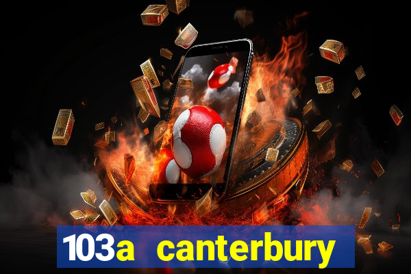 103a canterbury street casino nsw 2470