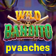 pvaaches