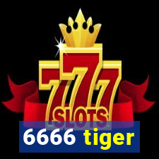 6666 tiger