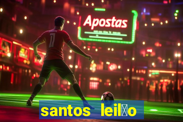 santos leil茫o passo fundo