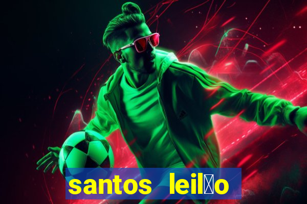 santos leil茫o passo fundo