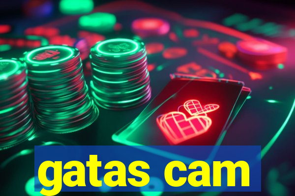 gatas cam