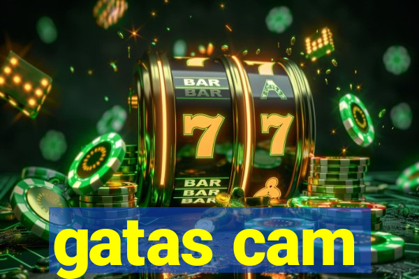 gatas cam