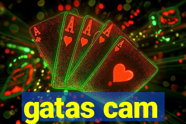 gatas cam