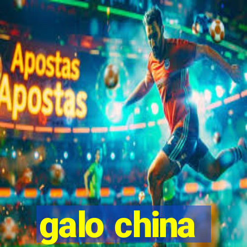 galo china