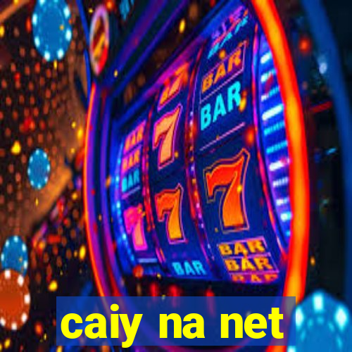 caiy na net