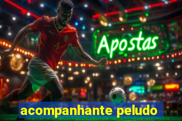 acompanhante peludo