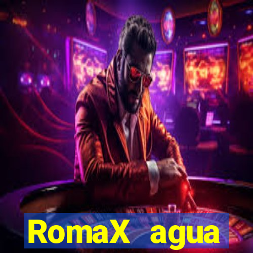 RomaX agua sanitaria fispq agua sanitaria romax