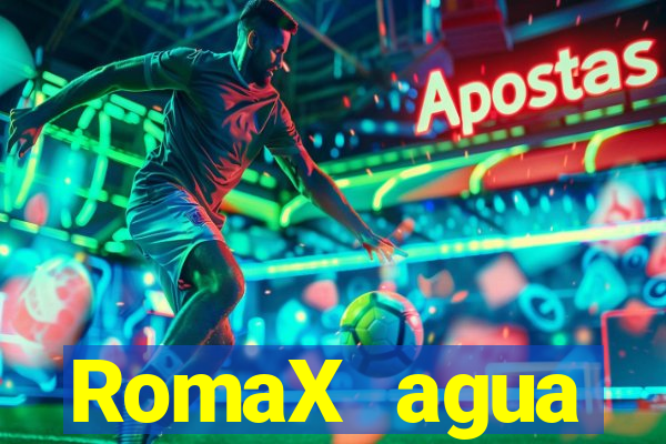 RomaX agua sanitaria fispq agua sanitaria romax