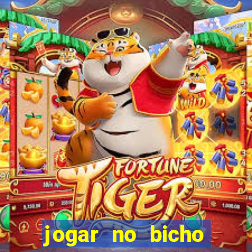 jogar no bicho online pernambuco