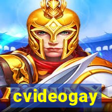 cvideogay