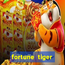 fortune tiger source code