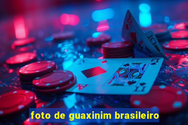 foto de guaxinim brasileiro