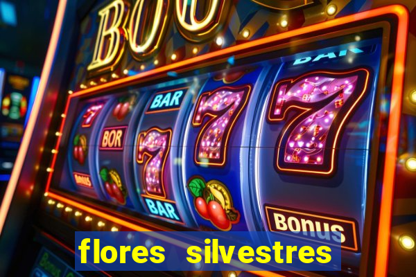 flores silvestres desbravadores desbravadores 25 flores silvestres e seus nomes