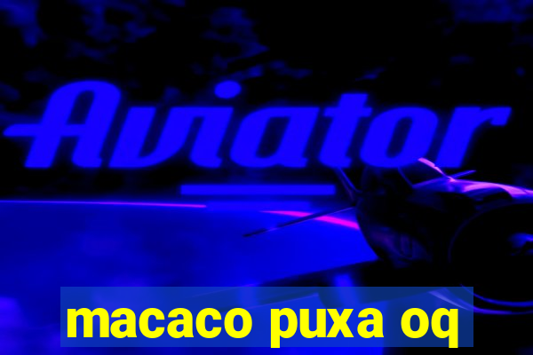 macaco puxa oq