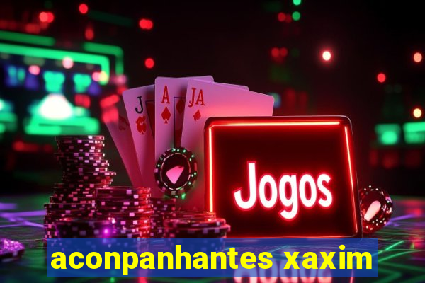 aconpanhantes xaxim