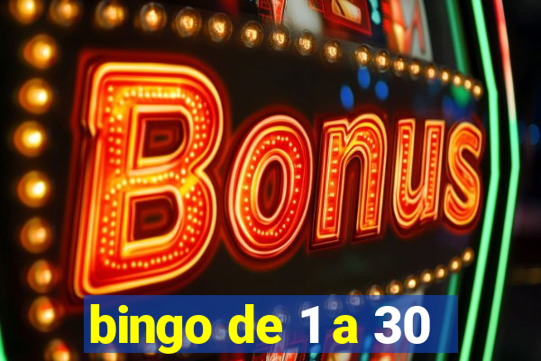 bingo de 1 a 30