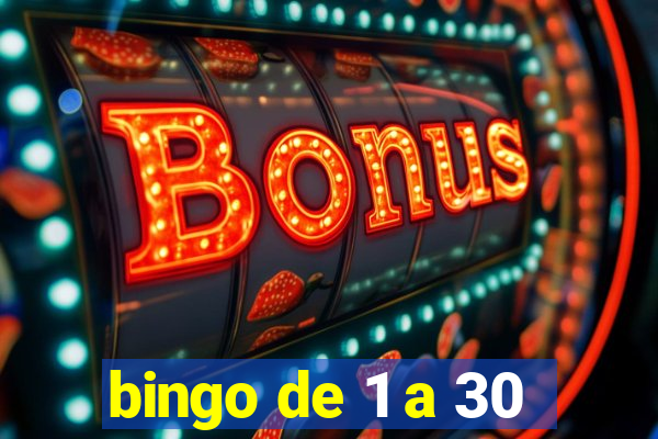 bingo de 1 a 30