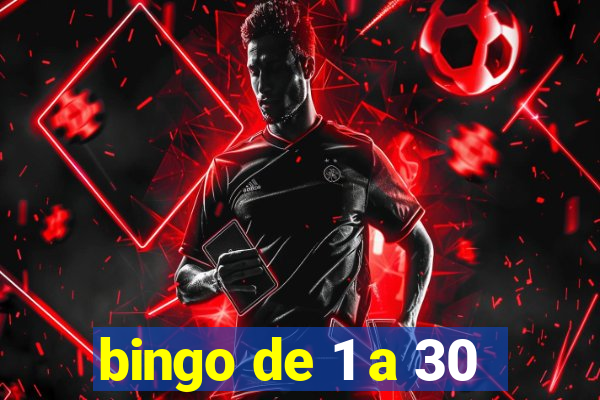 bingo de 1 a 30