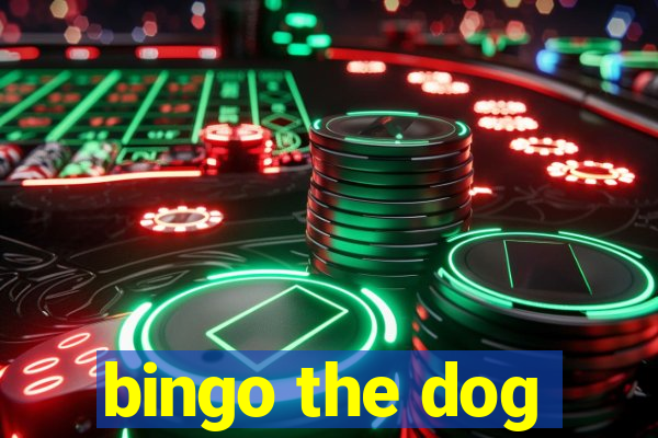 bingo the dog