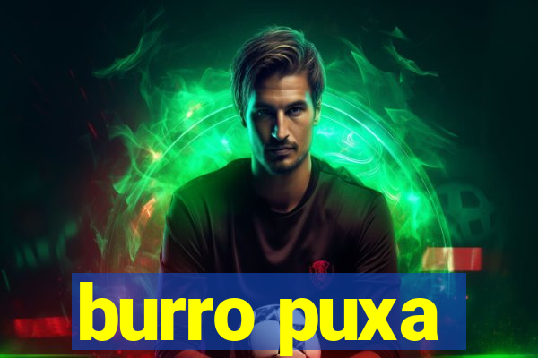 burro puxa