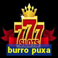 burro puxa