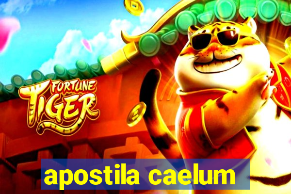 apostila caelum