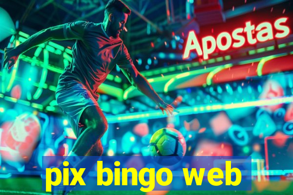 pix bingo web