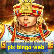 pix bingo web