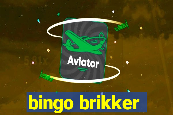 bingo brikker