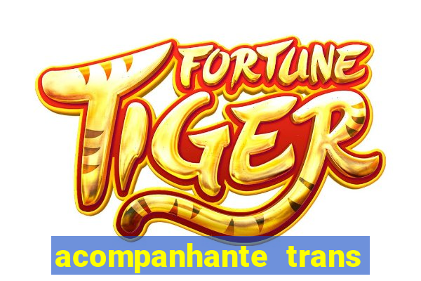 acompanhante trans porto seguro