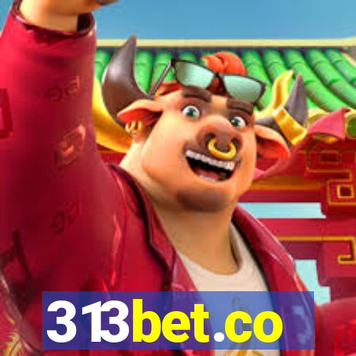 313bet.co