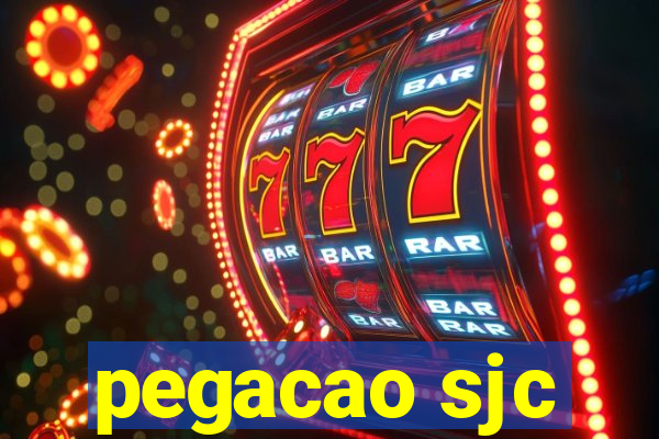 pegacao sjc