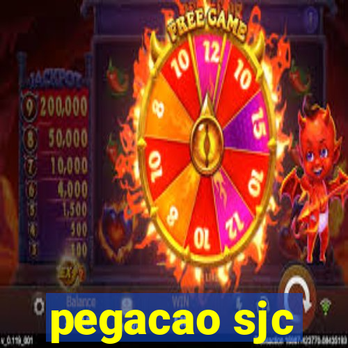 pegacao sjc