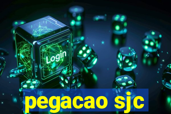 pegacao sjc