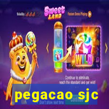 pegacao sjc