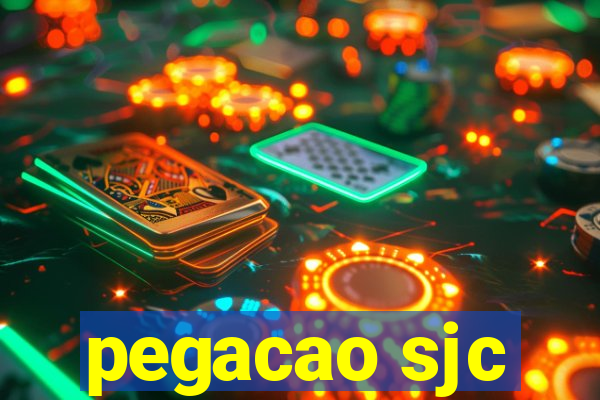 pegacao sjc